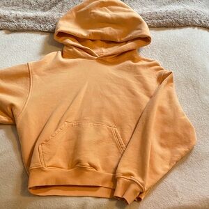 Aritzia TNA hoodie